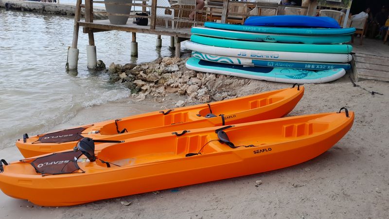 Kayaks and paddleboards lined up on a sandy beach